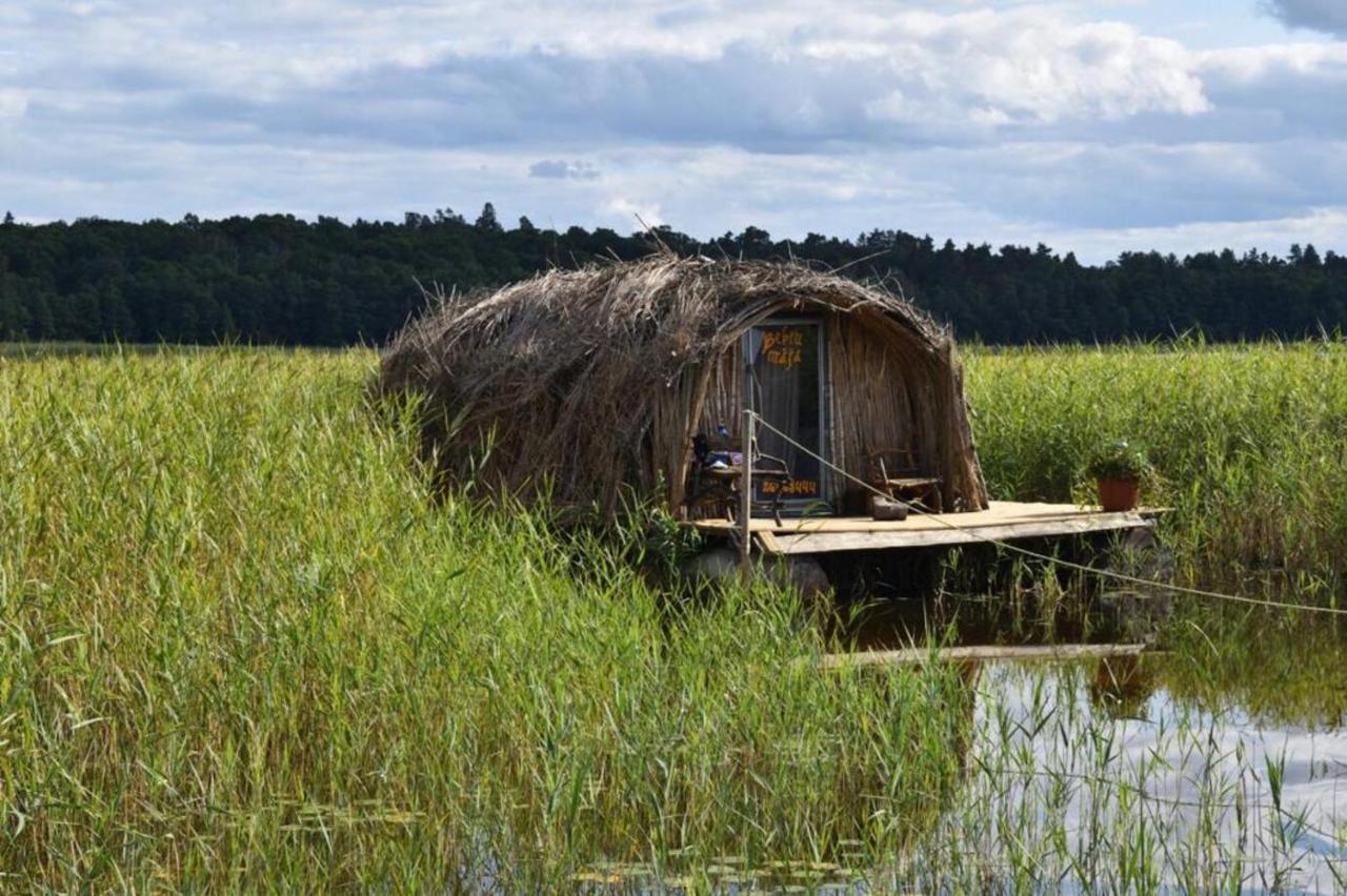 Bebru Maja - Beaver House Usma Exterior photo