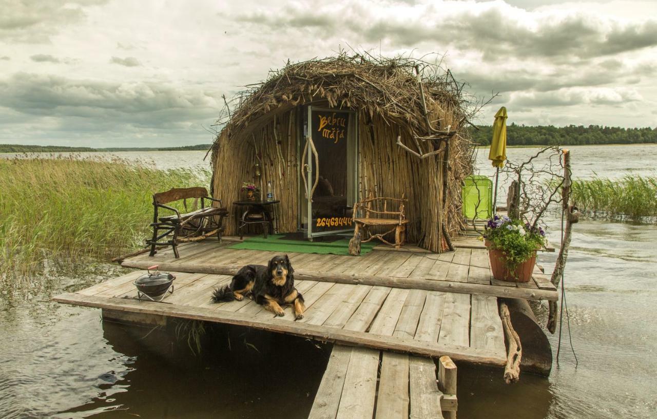 Bebru Maja - Beaver House Usma Exterior photo